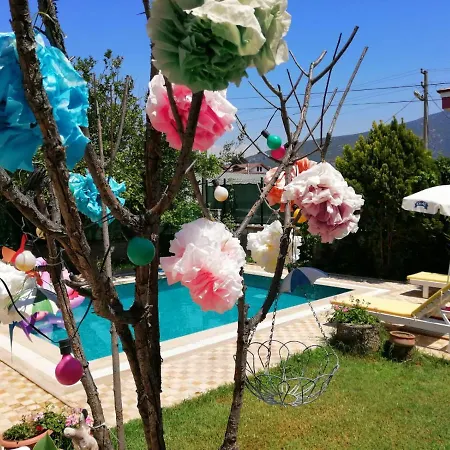 Asu * Fethiye